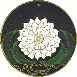 Psychothérapie jungienne Psychothérapie : Carl Gustav Jung